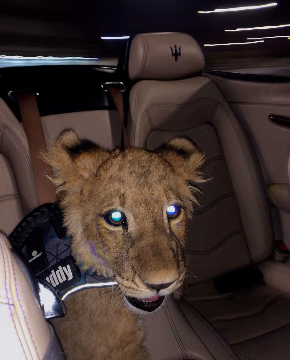 SKURT (@168skrt) on Twitter photo 