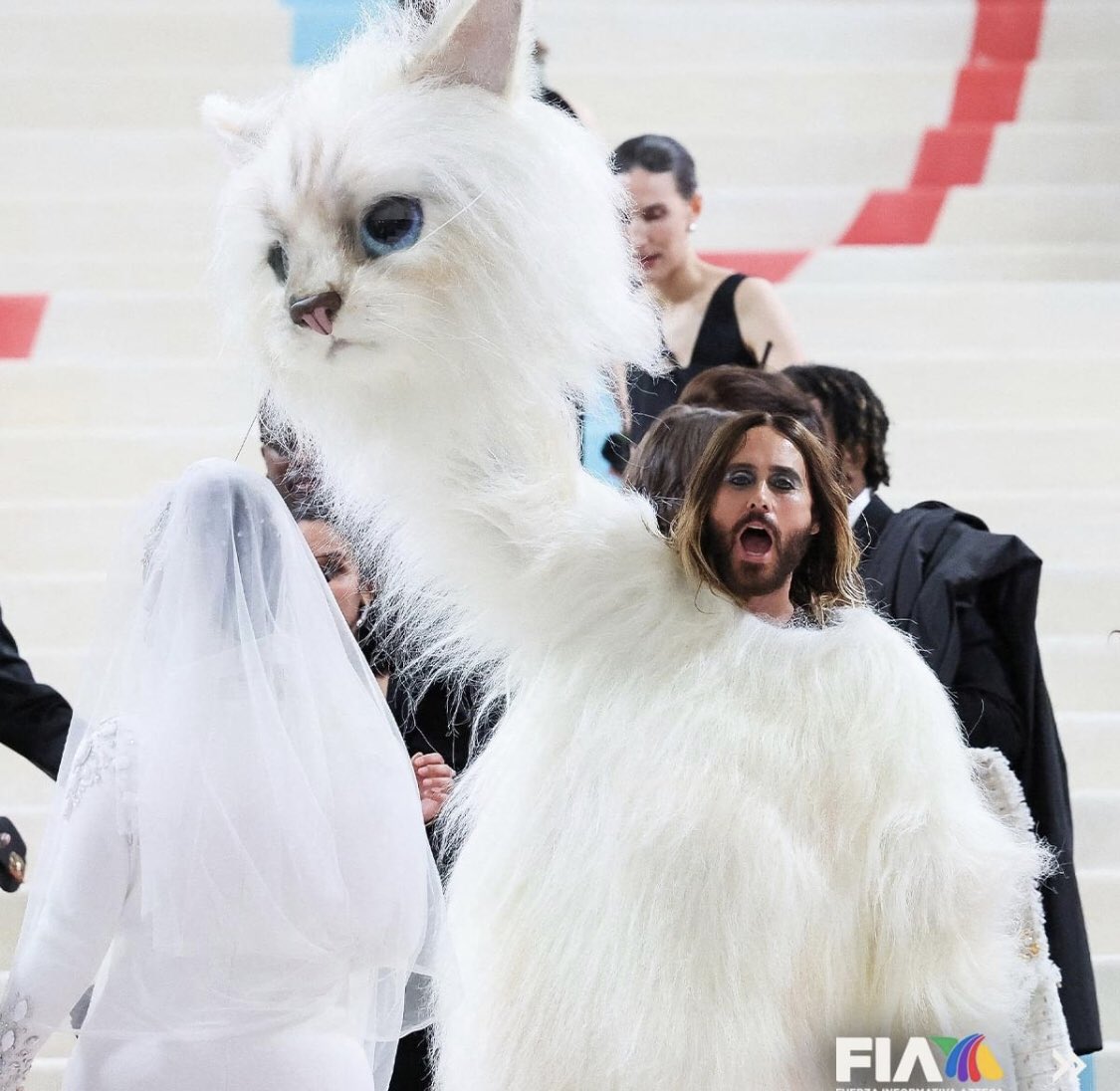 xPericulox's tweet photo. #MetGala  Jared Leto livin his life as ultimate fury predator, don't disrespect Choupette like that https://t.co/r8Kmy8YQCG