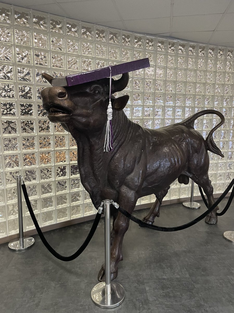 Morton Ranch HS tweet media