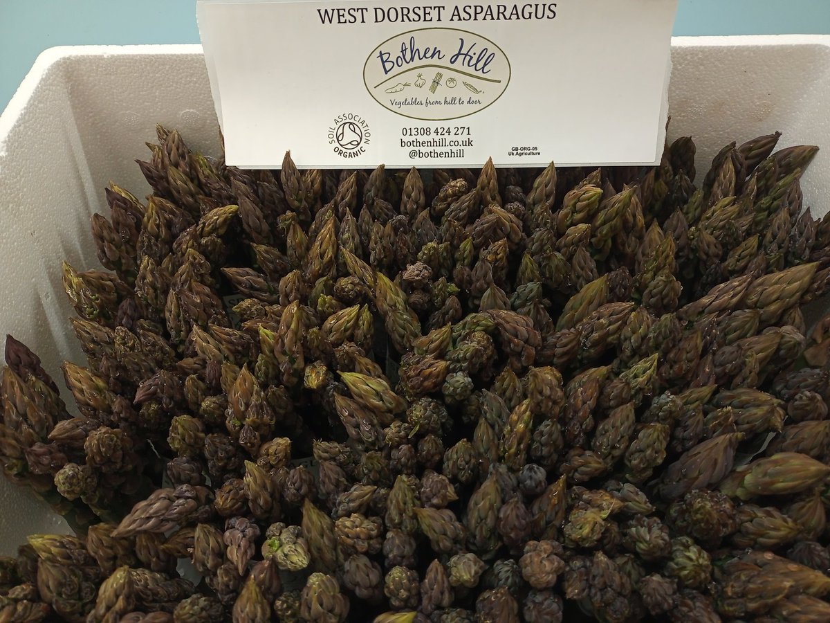 Bothen Hill (@bothenhill) on Twitter photo Busy morning harvesting more delicious asparagus, now bunched, packed and available at <a href="/Fruitntwoveg/">Fruitntwoveg</a> , <a href="/WashingpoolFarm/">Washingpool Farm</a> Fruits of the Earth in Bridport and Modbury Farm Shop Burton #buylocal #supportbritishfarmers #organicvegetables Busy morning harvesting more delicious asparagus, now bunched, packed and available at <a href="/Fruitntwoveg/">Fruitntwoveg</a> , <a href="/WashingpoolFarm/">Washingpool Farm</a> Fruits of the Earth in Bridport and Modbury Farm Shop Burton #buylocal #supportbritishfarmers #organicvegetables