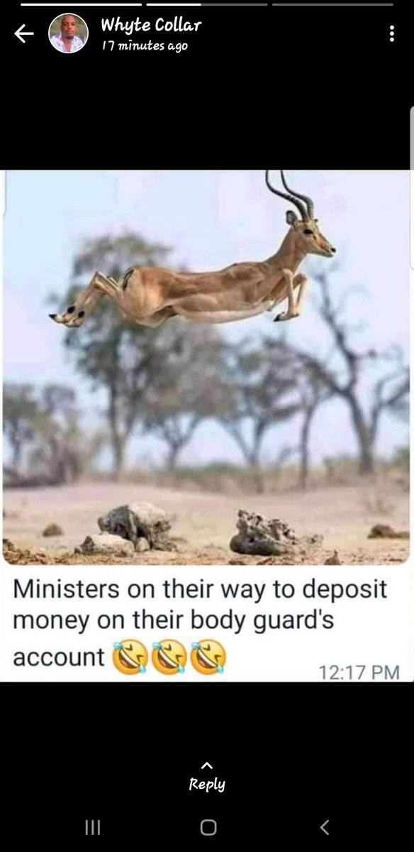 Emersonroyzz1's tweet photo. Right about now🇺🇬😂 https://t.co/t52TluiFmz