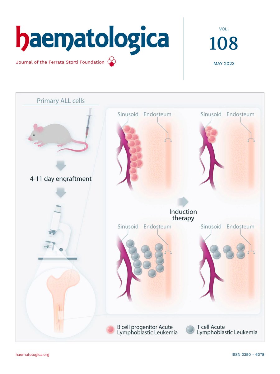 Haematologica tweet media