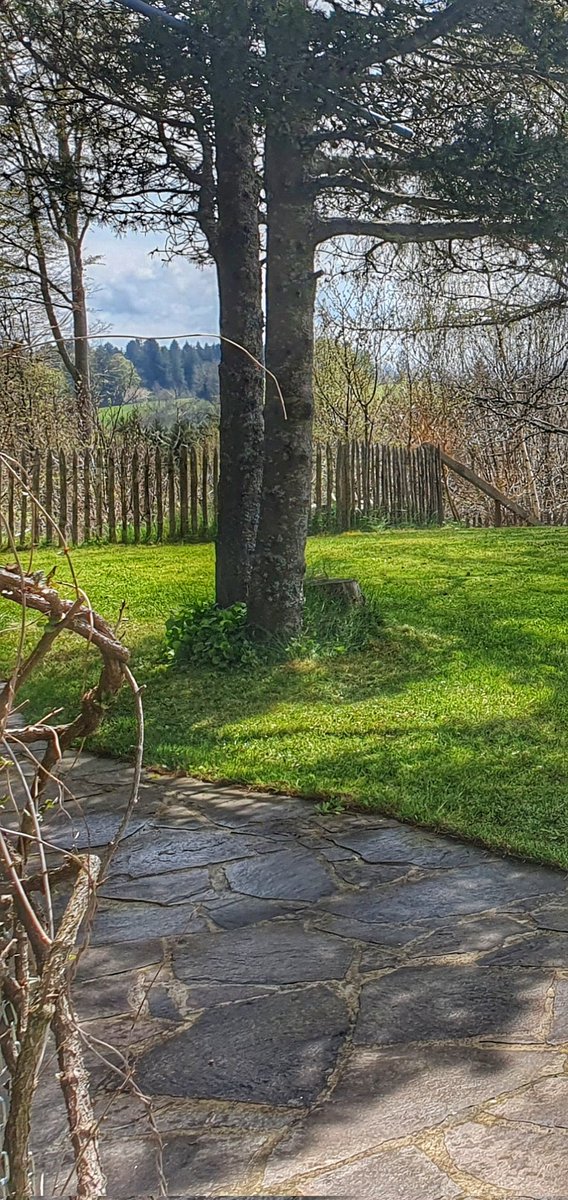 Albsteighost's tweet photo. Das #Gartenstudio verdient bald wieder seinen bei #Airbnb benutzten Namen.
#Ferienwohnung #Südschwarzwald #Hotzenwald https://t.co/ozdyTGSKQh