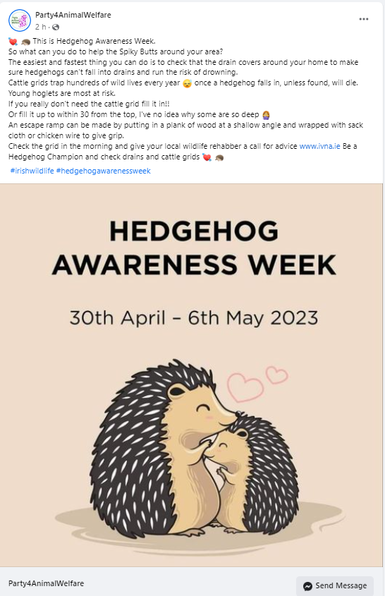 AnimalPartyIE's tweet image. This is Hedgehog Awareness Week.
So what can you do to help the Spiky Butts around your area?
Check that the drain covers around your home to make sure hedgehogs can't fall into drains and run the risk of drowning.
#irishwildlife #HedgehogAwarenessWeek
