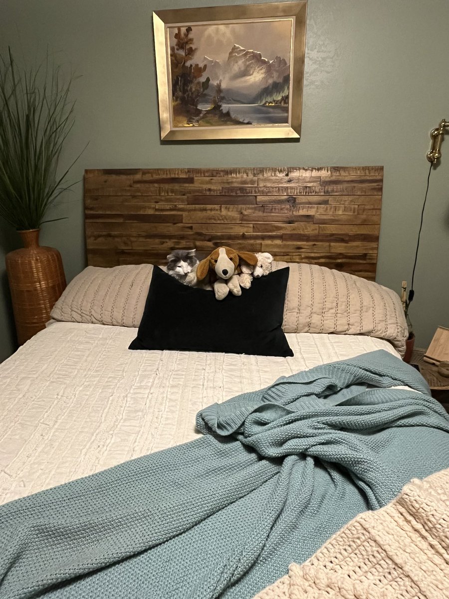 FoxFvck's tweet photo. When you can’t find your cat because he’s pretending to be a stuffed animal https://t.co/wU0rcx4esE