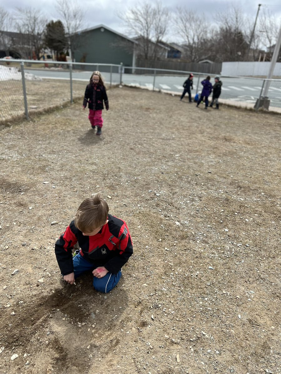 JenSkanes1's tweet photo. Enjoying the little bit of sunshine that is peeking through those clouds this morning! ☀️ #NLSpring @stpetersprim_mp https://t.co/5Ypt4majVQ