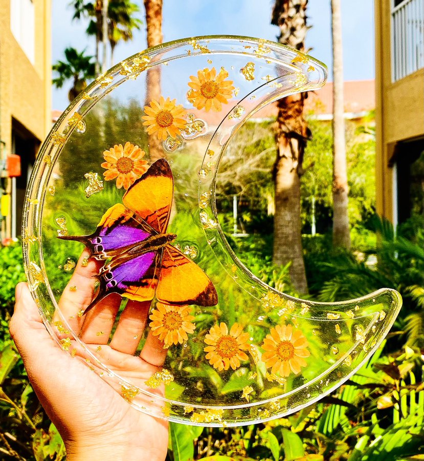 🌈Cutie looking for a home💫🦋