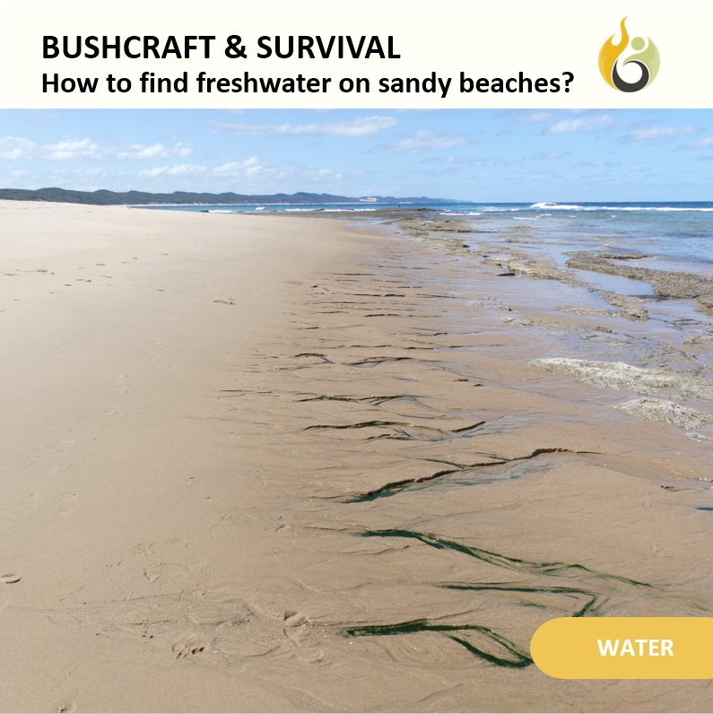 Bushguide101 tweet media