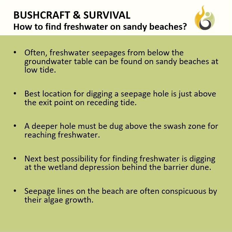 Bushguide101 tweet media