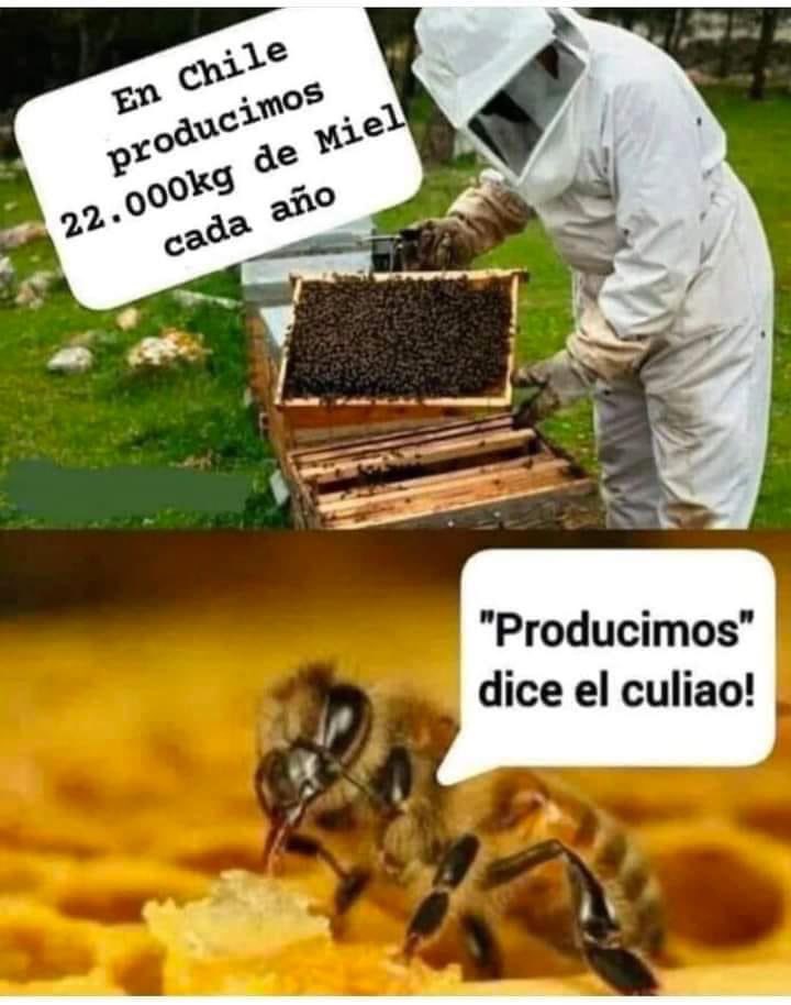 EnsedeCiencia's tweet photo. 😅 https://t.co/TZIdtU67k4