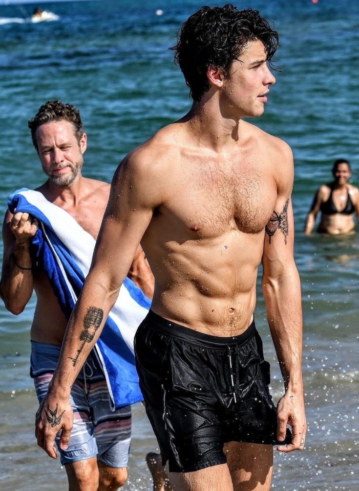 shawposts's tweet image. shawn mendes.