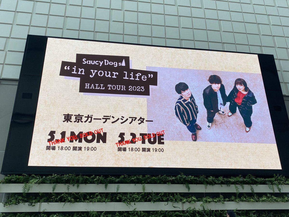 kashima_saine30's tweet image. 最高過ぎた、歌いまくった、楽しすぎた、泣き過ぎた……

ありがとうサウシー🐶

また会いに行くで絶対🌼
 #InYourLife