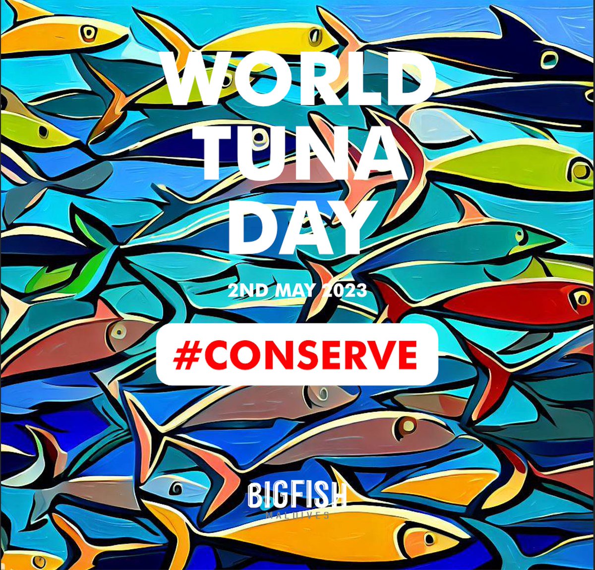 🎉🐟 Happy #WorldTunaDay! 🌊 Let's honor the amazing tuna species in our oceans. Their role in marine ecosystems &amp; our food supply is vital. Choose sustainable seafood to protect them! 🌍💙#ChooseSustainable #TunaMatters #ProtectOurOceans