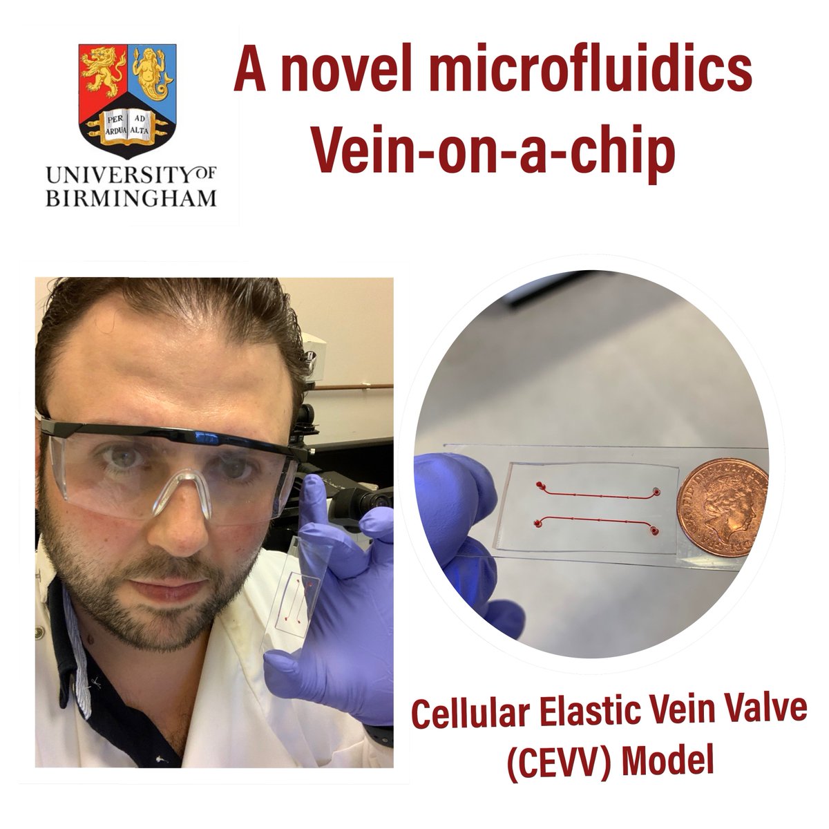 I'm proud to announce another successful publication. It has been a pleasure being part of a great team.
frontiersin.org/articles/10.33… 
#universityofbirmingham #nc3rs #DVT  #venousvalves #GPIbα #VWF 
@AlexanderBrill8 @FrontCVMedicine
#animals #bloodclot @Vigolo_LAB
 @AlessioAlexiad1