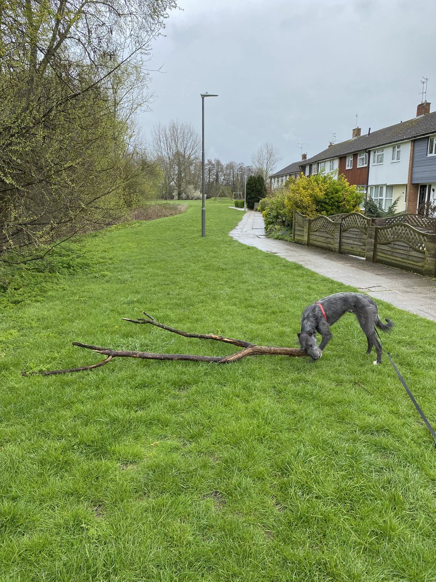 Neilmakojack tweet media