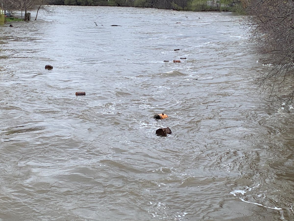 lamoureuxnicole's tweet image. Le débit  de la rivière du Nord  a augmenté de presque 3 pieds depuis les pluies ….et, la puissance de l’eau est #indiscutable 
#Inondations  

Baie St-Paul - St-Côme et autres …..  

#Changementsclimatiques  #Environnement 
Avons-nous compris le message ?