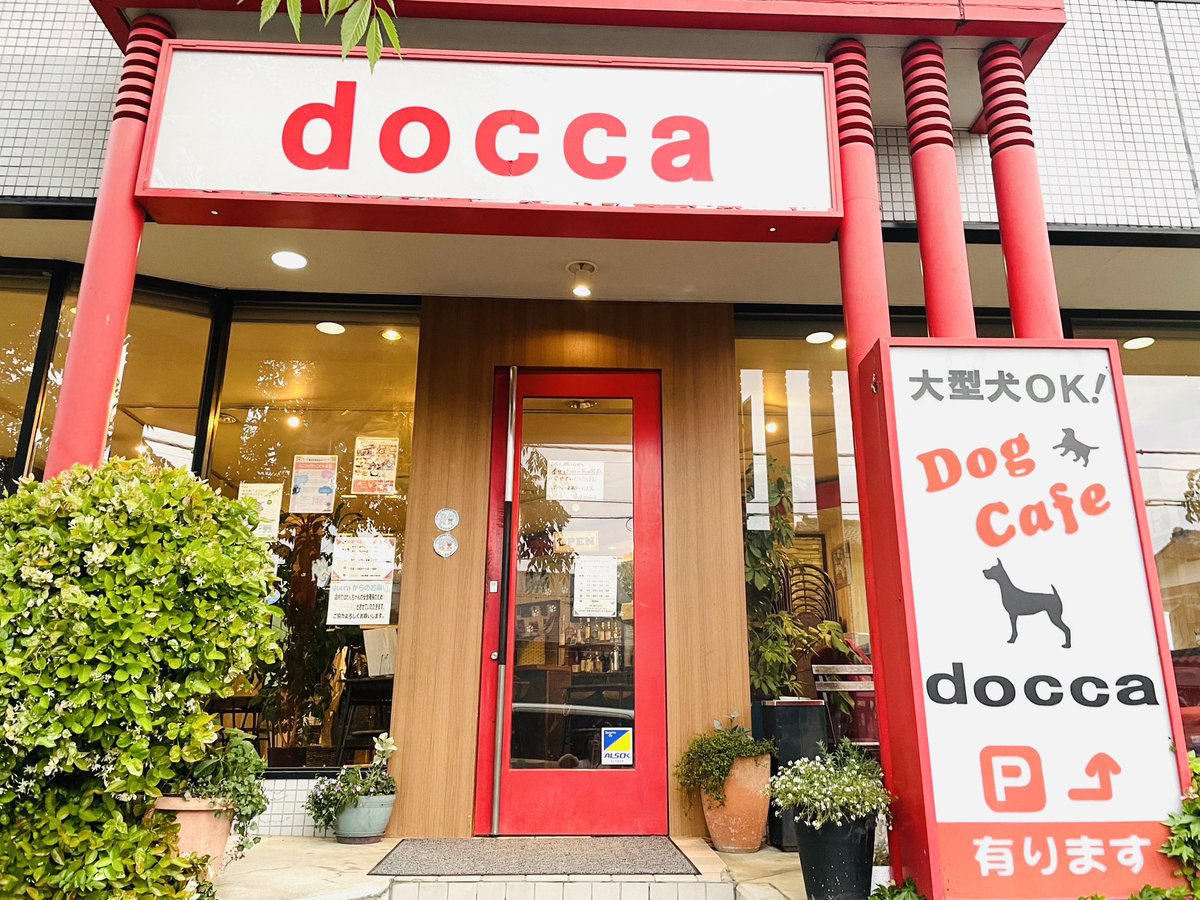 takaramonoshop's tweet photo. 埼玉県所沢市
#ドッグカフェ #docca さん
#看板犬2号のユキ🐶
ワンコおやつがウマウマで
秒で食べました🤣🐾👍
こちらのお店は
夜遅くまで営業していて
ワンコ連れで
お酒も楽しめるそう🍺👀
おしゃれで落ち着いたお店でした!
#たからもの #犬との暮らし #保護犬 #航空公園 #犬と行けるBAR https://t.co/LVoZPBesXV