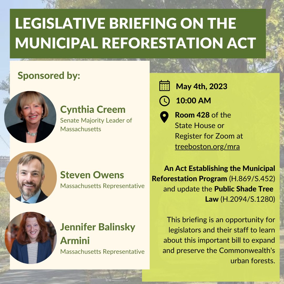 Trees_Boston's tweet photo. #MunicipalReforestationAct supports urban tree canopy across #Massachusetts, especially in treeless EJ neighborhoods. #Trees support all: remove CO2, cool air, and provide numerous co-benefits. Join for a briefing May 4 10am at the State House, Room 428. https://t.co/wqL6MGyuOW https://t.co/BIDisRW5Ik