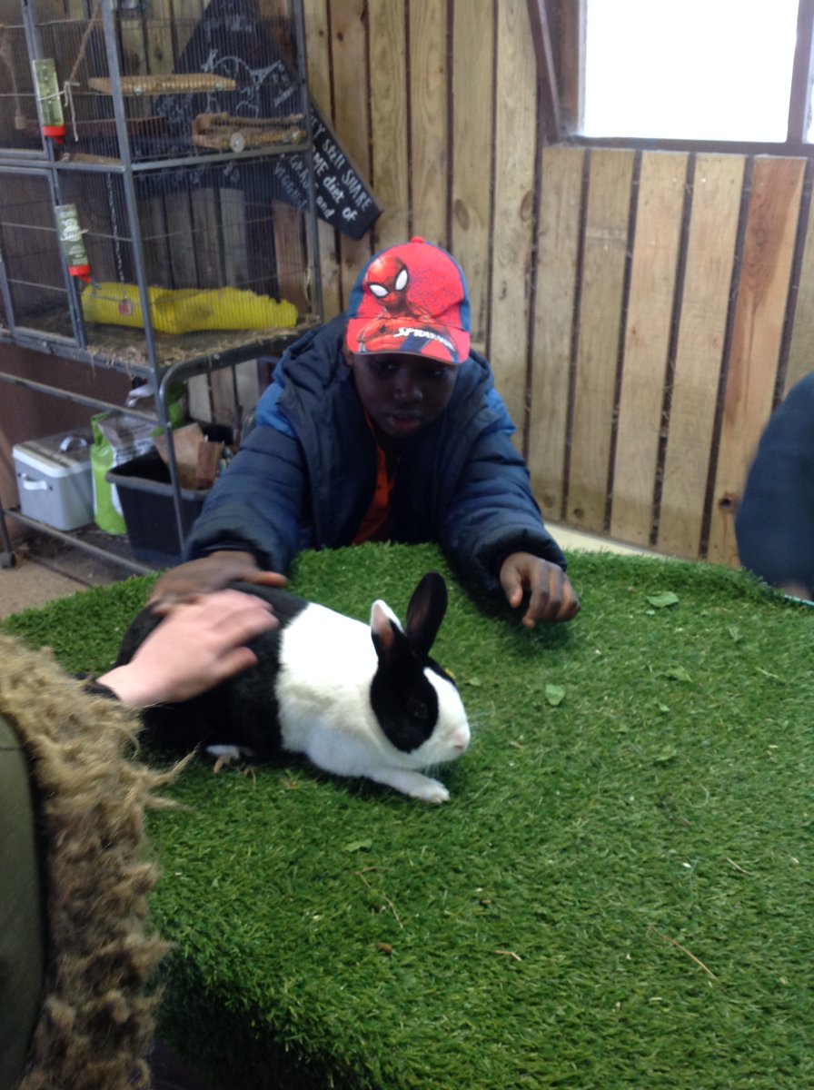 Year3Beck tweet media