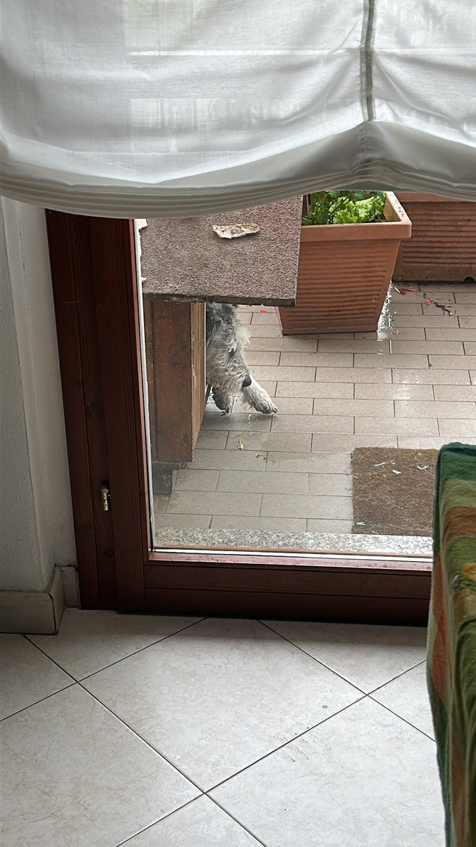 Daniel Mezzacappa (@rosso_di_sera_) on Twitter photo 