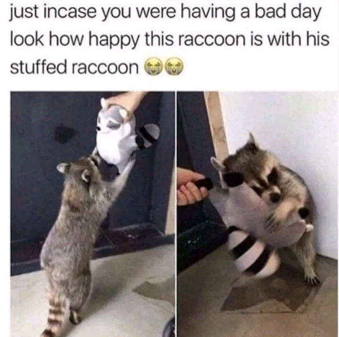 WholesomeMemes tweet media