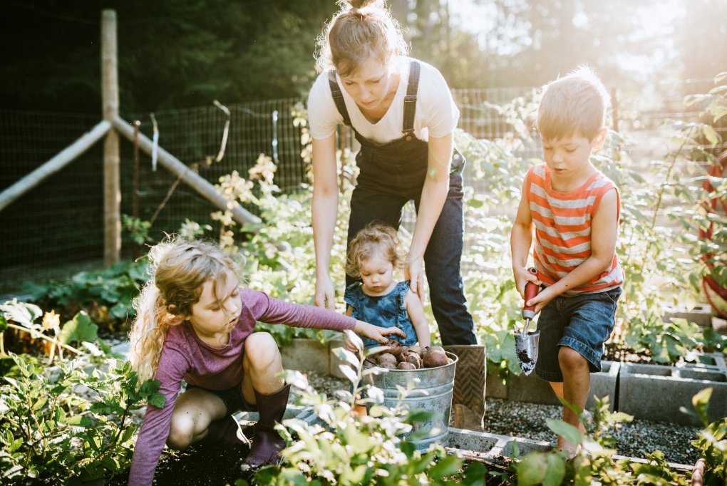 LiebherrHomeUK's tweet photo. Happy #NationalGardeningWeek! 🌱 Are you as passionate about fresh produce as we are?
Keep your greens fresh from the garden to your table, try our innovative freshness technologies #BioFresh and #HydroBreeze: https://t.co/SaveSu7Gih.
#liebherr #foodwaste #gardening https://t.co/2JJVlgTSUB