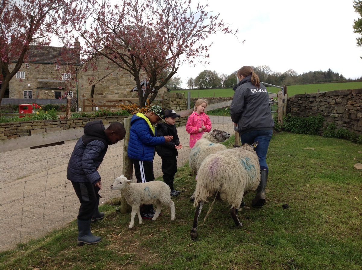 Year3Beck tweet media