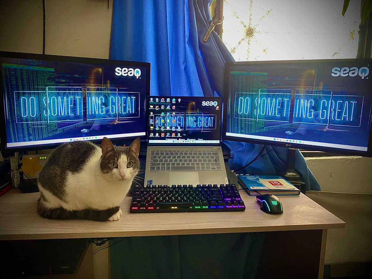 seaqservicios's tweet photo. 🤓😺 My workspace wouldn't be complete without my cat #becurious #workingcat 🐈 👨‍💻👩🏻‍💻

#work #workcat #workfromhome #change #flexibleworking #flexibleworkinghours #workfromhomelife #workfromanywhere #developer #softwaredeveloper #it https://t.co/k7yxdv3E9O