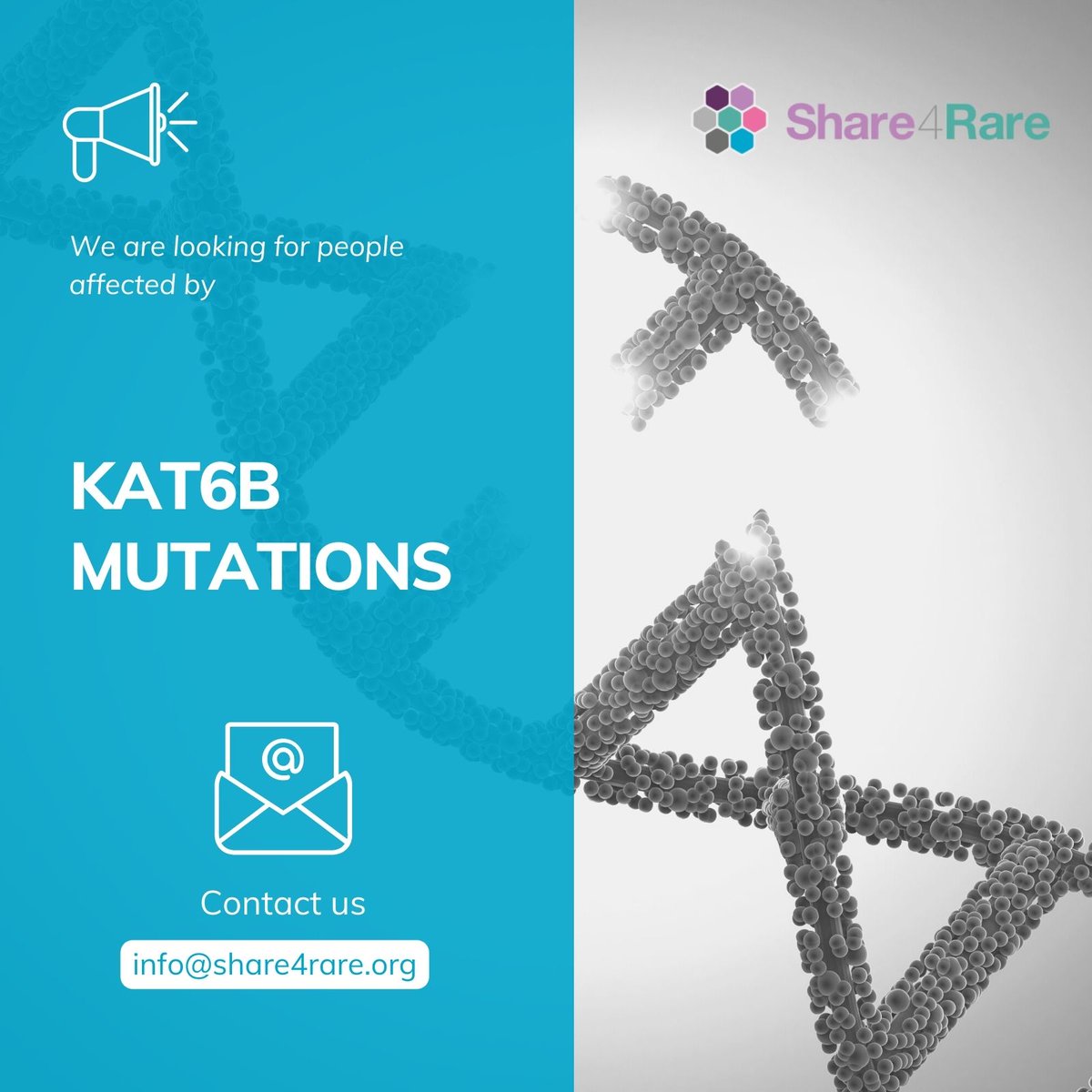 Share4Rare (@share4rare) on Twitter photo 🧬 If someone you know has a documented #KAT6B gene mutation, contact us via DM or email at 📩 info@share4rare.org.
We kindly request you share this post with your networks to reach as many individuals with KAT6B gene mutations as possible ✨ bit.ly/S4R-Registrati… 🧬 If someone you know has a documented #KAT6B gene mutation, contact us via DM or email at 📩 info@share4rare.org.
We kindly request you share this post with your networks to reach as many individuals with KAT6B gene mutations as possible ✨ bit.ly/S4R-Registrati…