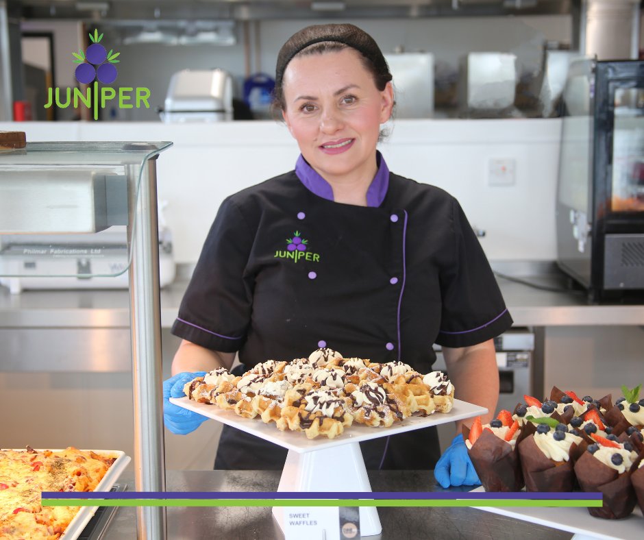 JuniperVentures's tweet photo. From hearty breakfasts to gourmet dinners, our catering team has you covered. We offer a range of menus to suit different dietary needs and preferences. >> https://t.co/PeryRHyjFn #CustomizedMenus #Catering #JuniperVentures https://t.co/kzLtBahZL5