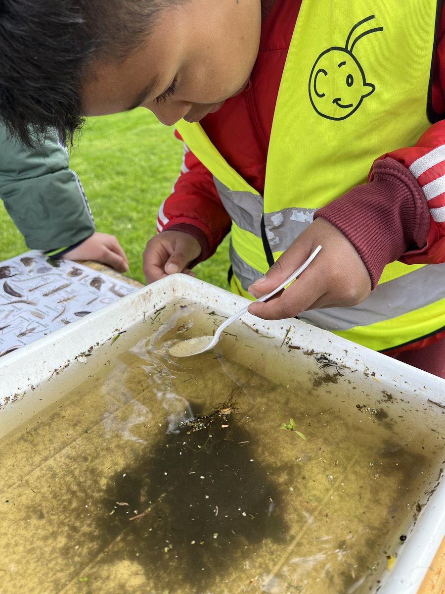 Wat een topdag! Slootdieren vangen, knutselen met natuurlijke materialen en al wandelend door het groen in Kethel van alles leren over de polders en haar bewoners. Vandaag gingen er meer dan 100 kinderen op Poldersafari bij het NME-centrum Harre Wegh. 🦎🪳🕷