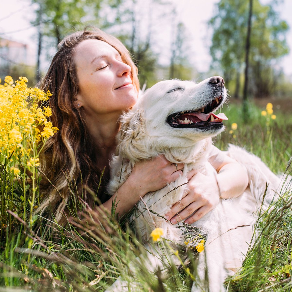 ThayersInn's tweet image. Where are the #PetLovers?! 🐾 May is National #PetMonth, and we're rolling out the red carpet for your furry friends. Drop a picture in the comments! 👇🐕🐈