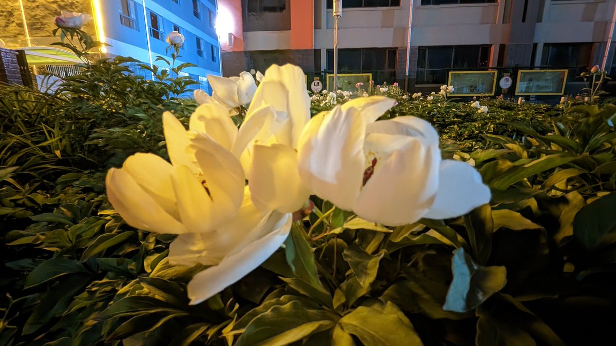 keci_tom's tweet photo. 美无处不在，只是欠发现 https://t.co/hVNapyhm2X