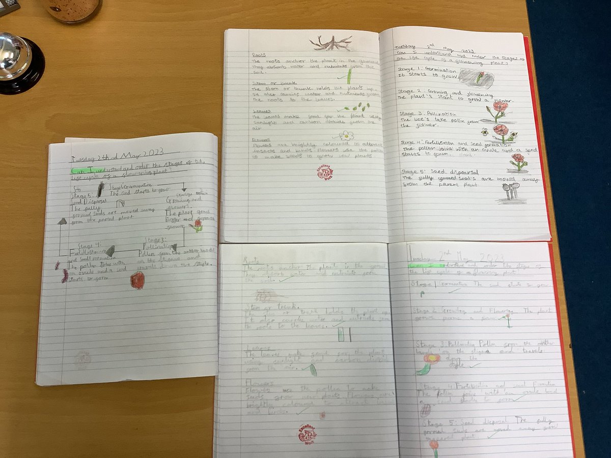 NPS3DJ's tweet photo. Some fantastic Science work in Year 3 this afternoon. We have been learning all about the Life cycle of a flowering plant! 🌷🌹#NPS #NPS3H #NPSScience https://t.co/RuuQc8j84N