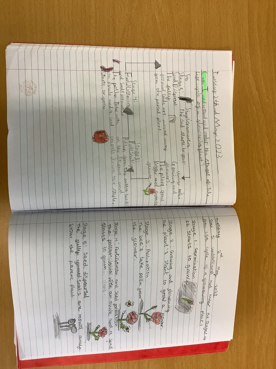 NPS3DJ's tweet photo. Some fantastic Science work in Year 3 this afternoon. We have been learning all about the Life cycle of a flowering plant! 🌷🌹#NPS #NPS3H #NPSScience https://t.co/RuuQc8j84N