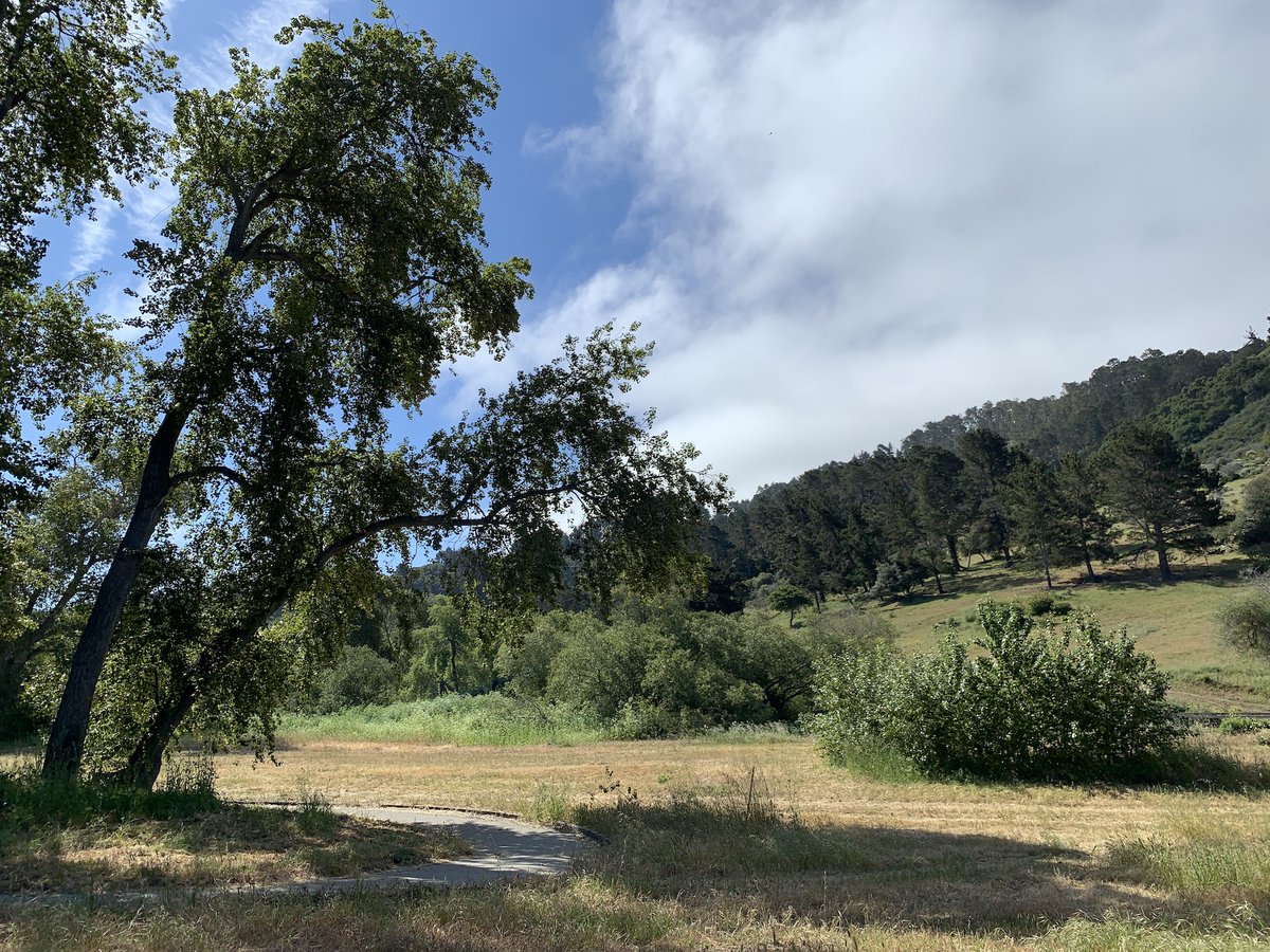 This month's #RestorationStory from SWCA Environmental Consultants is about ecological restoration and channel stabilization in the Rancho Cañada unit of the Carmel River floodplain

Read their story here: ser.org/news/636975/St…

#ecologicalrestoration #generationrestoration