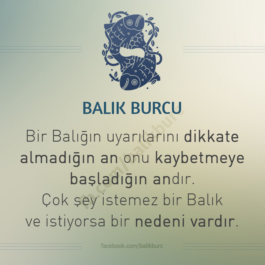 balikburclari's tweet photo. https://t.co/fYrya5EtSP