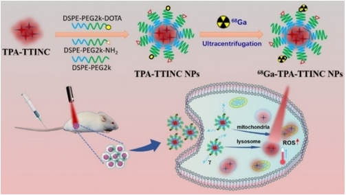 ACES_Journals's tweet photo. Radiolabeled AIE Probes as Dual-modality #ImagingAgents for PET/NIR-II Fluorescence-Guided #PhotothermalTherapy. Qinggang He et al. of Zhejiang University https://t.co/rA8mw5WBhZ https://t.co/DqO69ROdUb