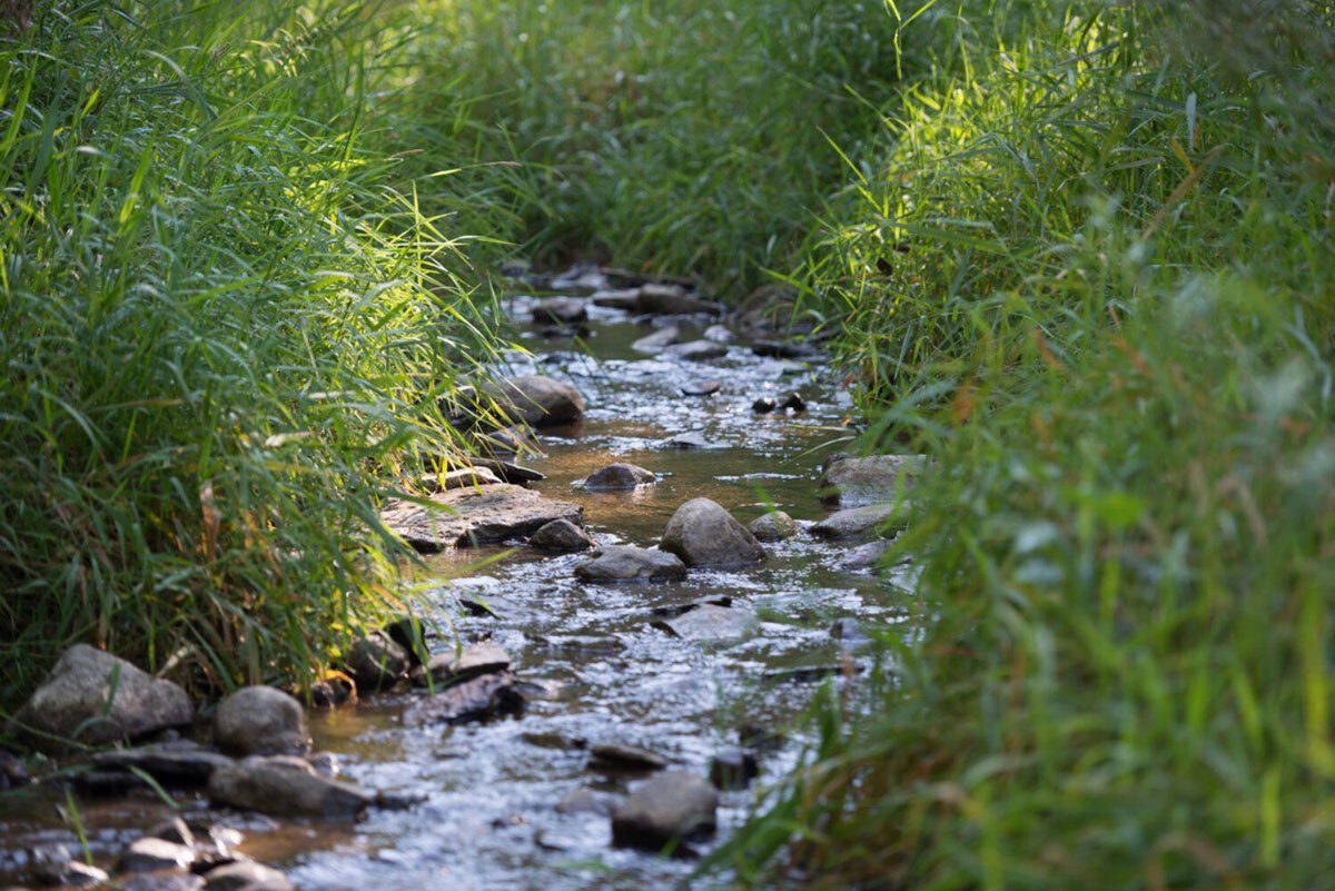 Iowa Ag Water Alliance tweet media