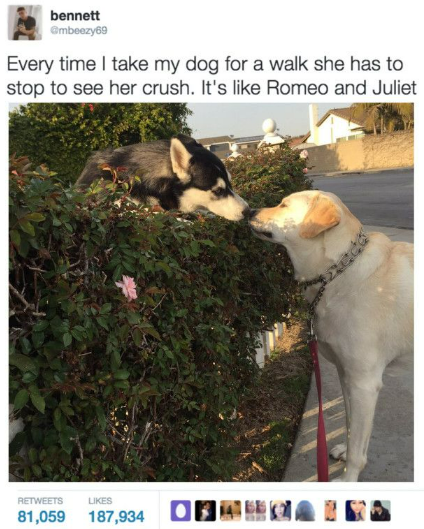 WholesomeMeme's tweet photo. Original tweet by @mbeezy69 https://t.co/lct1LfaLsF