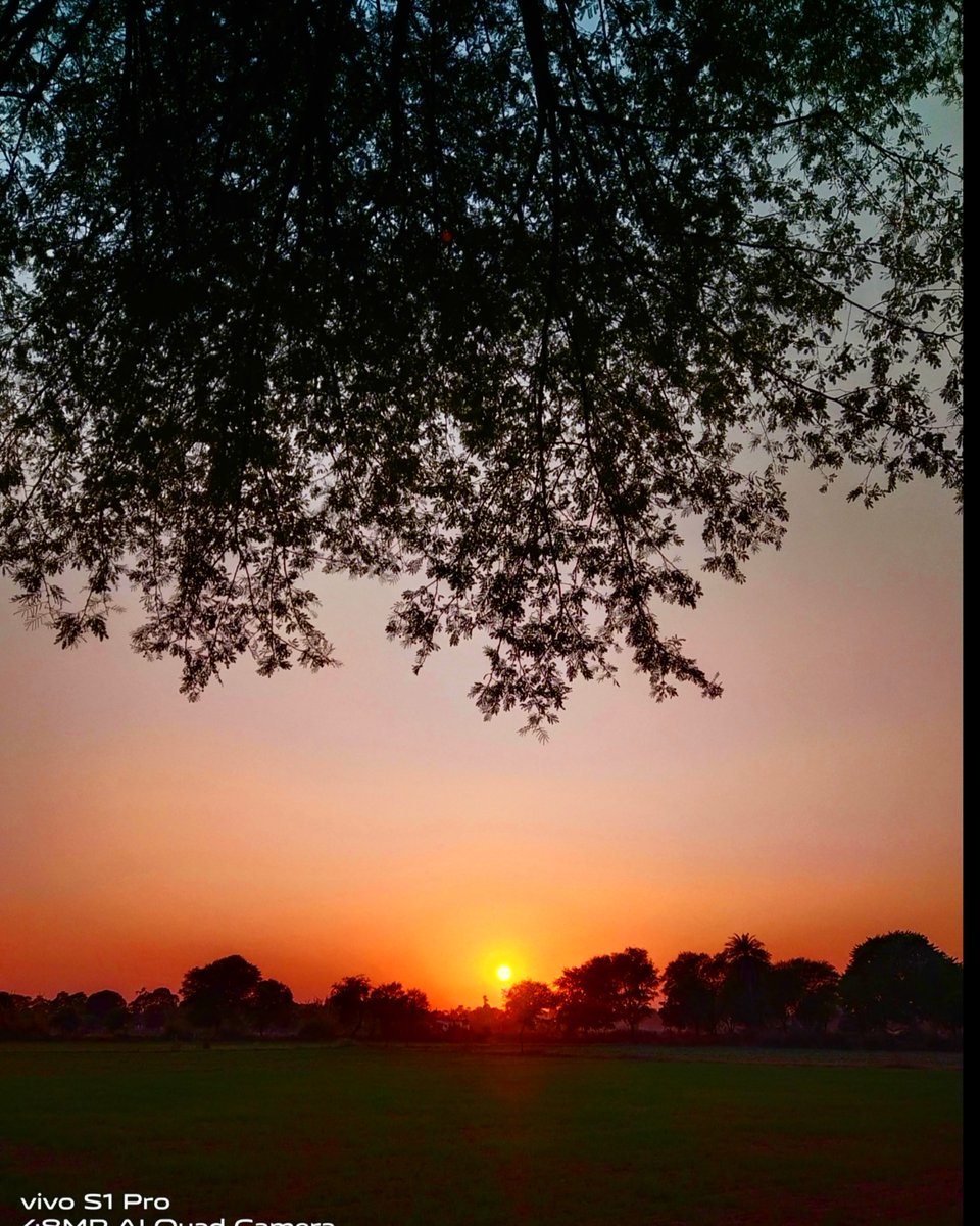 aashish_l2's tweet image. Watching the sun go down never gets old 🌅☀️ #sunsetlover #naturephotography #VIVOplay #vivo #nature 
@Vivo_India