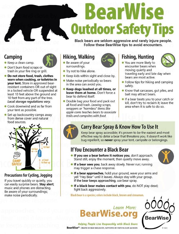 GreatSmokyNPS's tweet photo. It’s a bear out there! We hope when you visit @GreatSmokyMountainsNPS that you get to see a black bear living in the park. Help our black bears by keeping a safe distance from them. Stay at least 50 yards away and never approach or feed a bear! https://t.co/qLUVcro60R https://t.co/EOfUfCH4sM