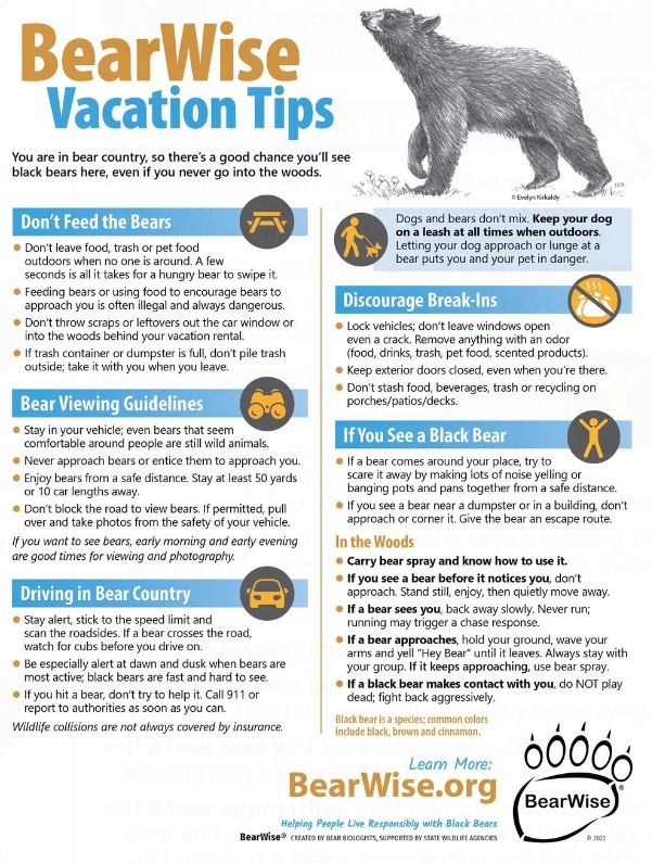 GreatSmokyNPS's tweet photo. It’s a bear out there! We hope when you visit @GreatSmokyMountainsNPS that you get to see a black bear living in the park. Help our black bears by keeping a safe distance from them. Stay at least 50 yards away and never approach or feed a bear! https://t.co/qLUVcro60R https://t.co/EOfUfCH4sM