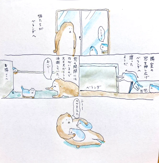 猫が脱走しました #bubuchiyo絵日記