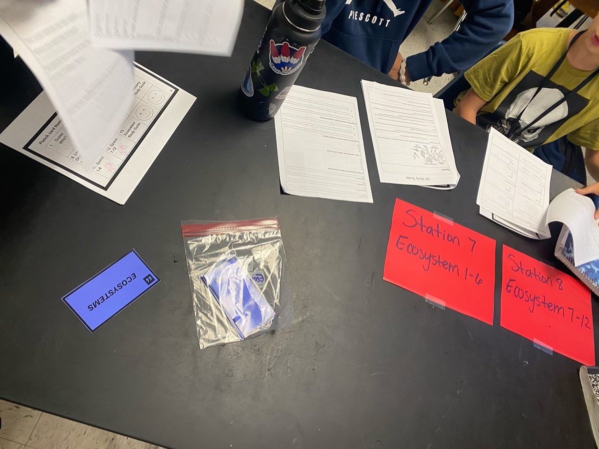 Ms. Howard M.Ed. tweet media