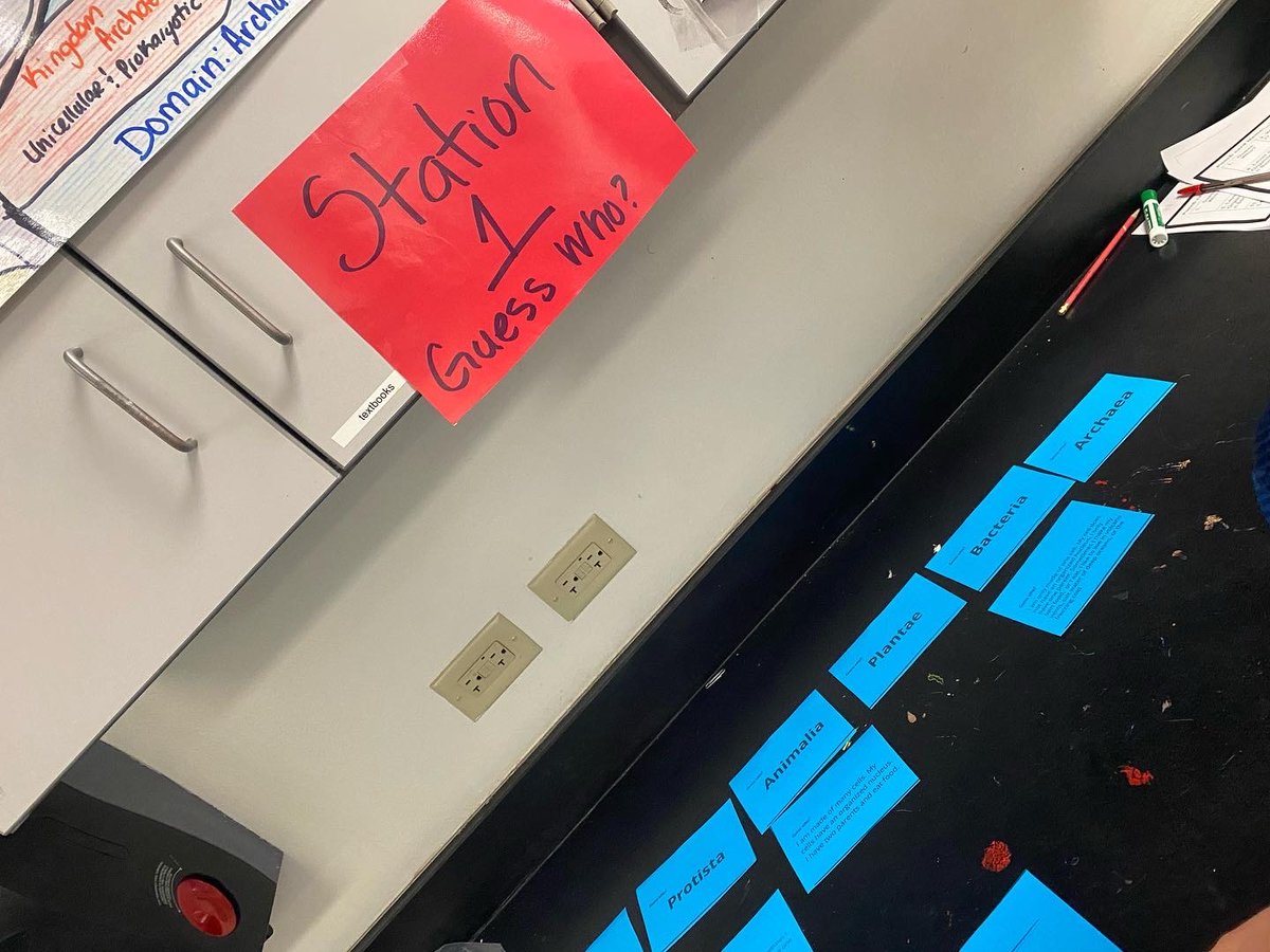 Ms. Howard M.Ed. tweet media