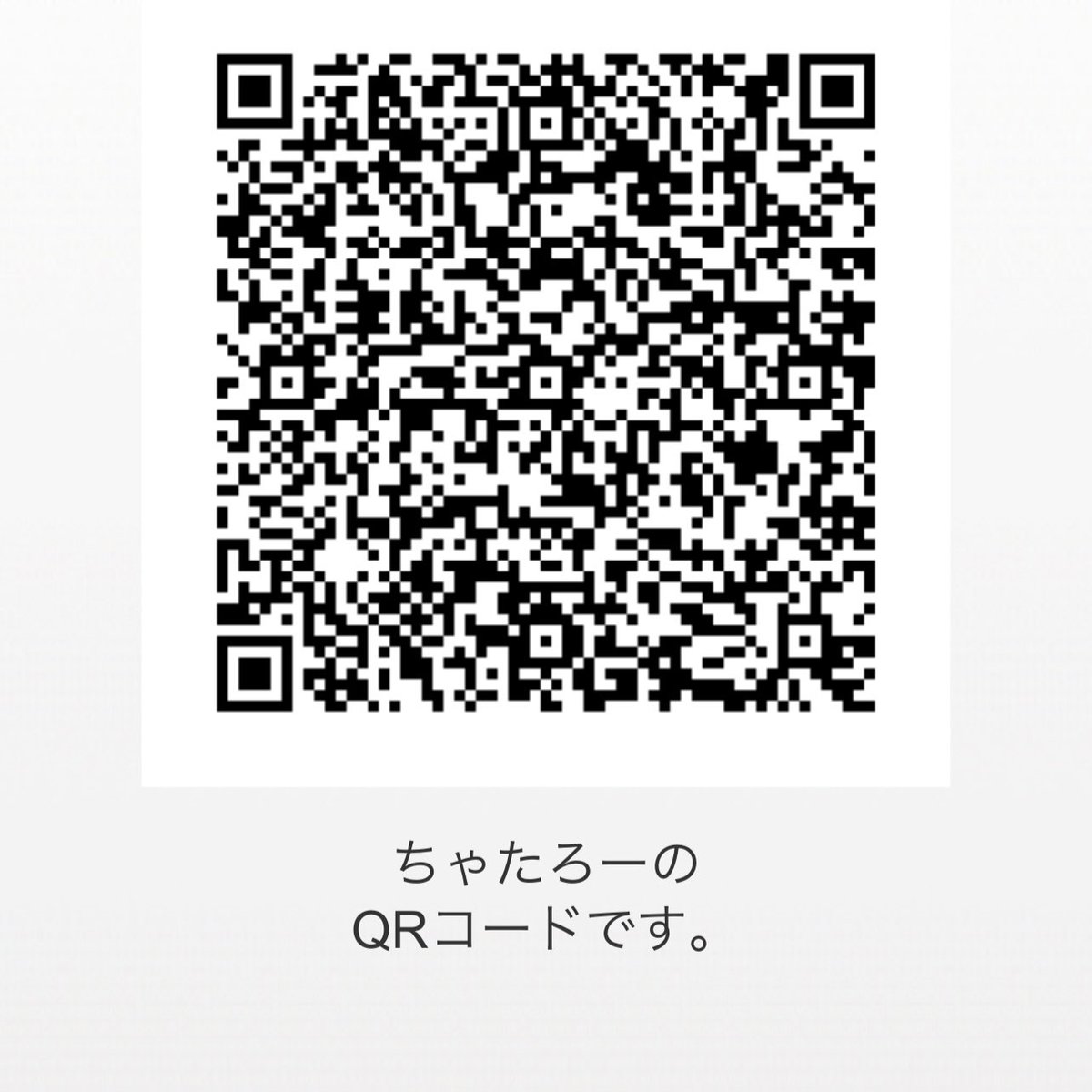 ちゃたおれ🐾 tweet media