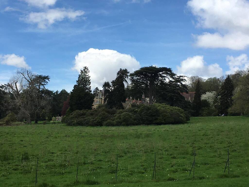 HomeopathRemedy's tweet photo. Enjoying some sunshine at Tyntesfield National Trust. Fingers crossed the warmth stays for a while! https://t.co/7vDIShpUwD