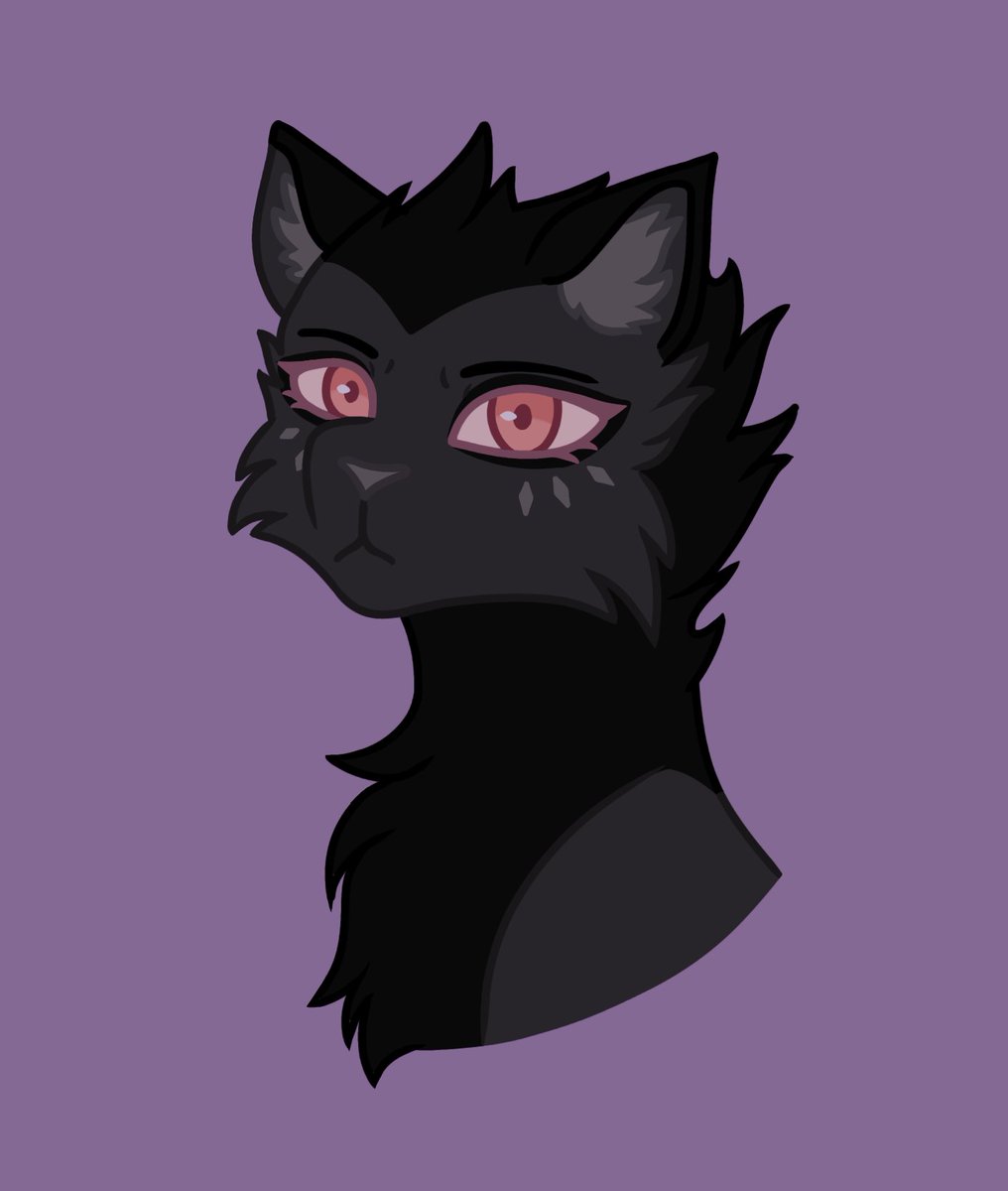 Kate Sparkls tweet media