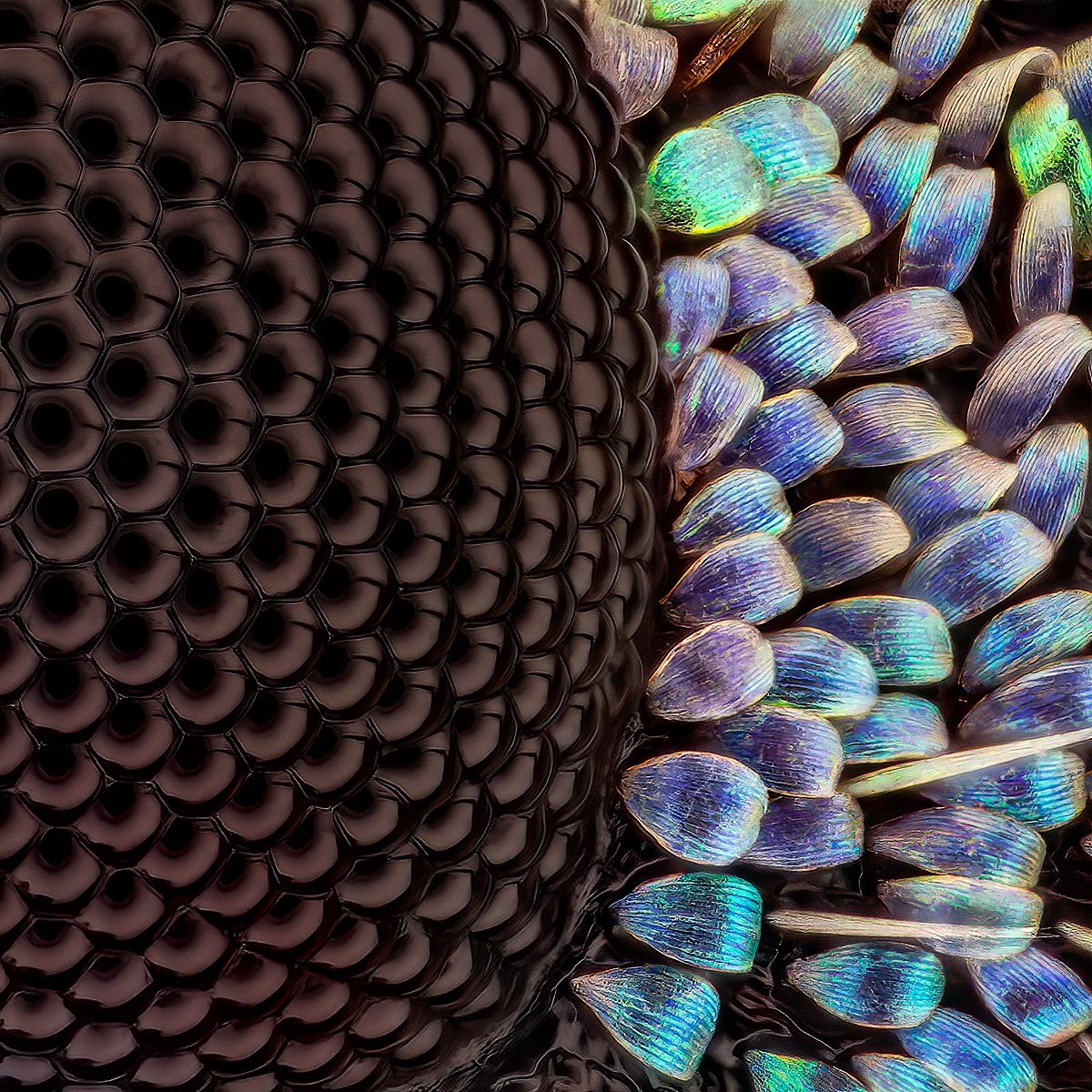 Thorben Danke tweet media